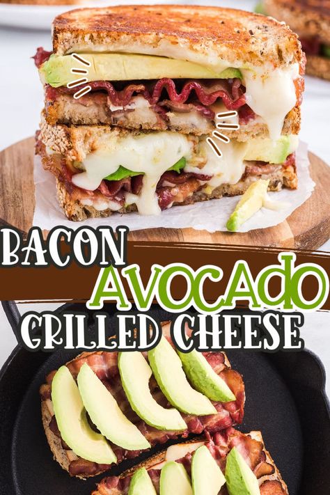 Bacon Avocado Sandwich, Adult Grilled Cheese, Basic Grilled Cheese, Avocado Grilled Cheese, Fancy Grilled Cheese, Specialty Sandwiches, Bacon Grilled Cheese, Gourmet Grilled Cheese, Grill Cheese Sandwich Recipes