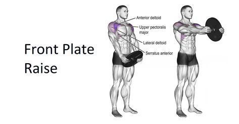 A Front Plate Raise is a variant that is similar to the dumbbell’s front raise in which the person lifting holds a plate of weight between two hands instead of using a barbell, dumbbell, or any other weight. It can be a nice addition to exercises that build muscle in the shoulder area or as part […] Wellness Community, Front Raises, Front Plate, Lifestyle Blogs, Build Muscle, Two Hands, Bodybuilding, Health And Wellness, Hold On