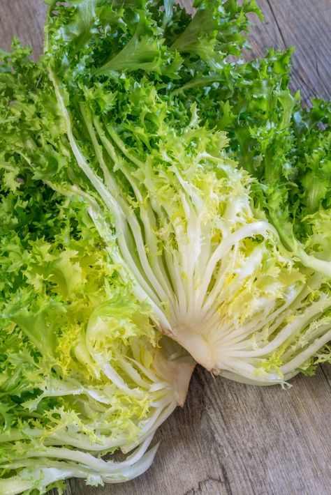 curly endive Curly Endive, Endive Recipes, Endive Salad, Lettuce Seeds, Vegetable Seeds, Lettuce Leaves, Container Garden, Heirloom Seeds, Edible Garden