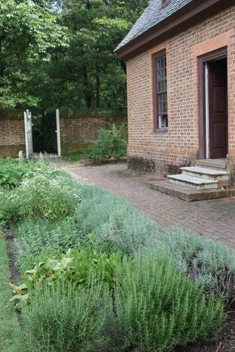 Evergreen Herbs: Lavender, Sage, Rosemary, and Thyme Lavender Rosemary Thyme Garden, Lavender Sage Rosemary Garden, Lavender And Herb Garden, Rosemary Border Garden, Herb Garden Landscape Design, Front Herb Garden, Rosemary Front Yard, Herb Front Garden, Herb Garden Front Yard