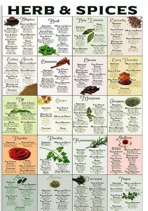 Spice Chart, Herb Guide, Natural Asthma Remedies, Asthma Remedies, Grape Salad, Grape Seed Extract, Chef Gifts, Bay Leaves, Herbs And Spices