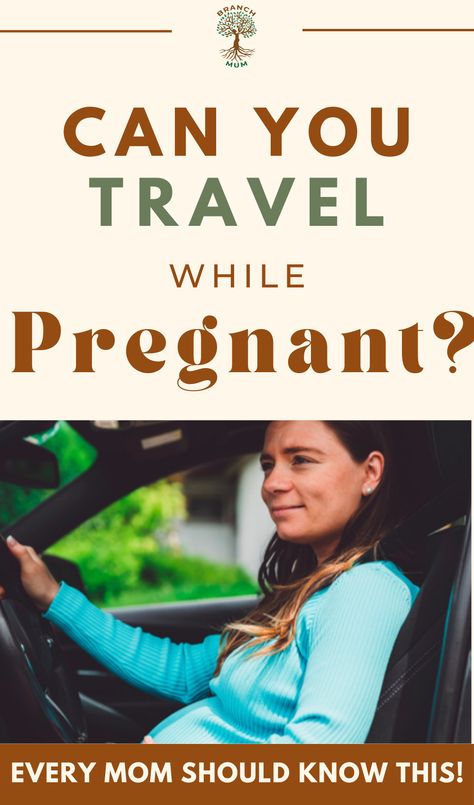 There is no simple answer to whether or not you can travel while pregnant. It depends on a variety of factors, such as your stage of pregnancy, your overall health, the country you’re travelling to, and the purpose of your trip. Read on to learn more about myths and facts during pregnancy every mom should know! Travel While Pregnant, Traveling While Pregnant, Travelling While Pregnant, Traveling Pregnant, Myths And Facts, About Pregnancy, Free Advice, Pregnancy Stages, Everything About You