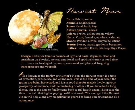 Harvest moon Full Moon Meaning, Full Moon Spells, Moon Activities, Wiccan Rituals, Moon Meaning, Moon Time, Moon Artwork, Moon Spells, Full Moon Party