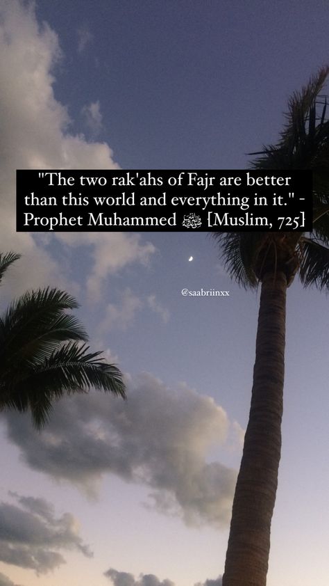 Praying Fajr Aesthetic, Fajr Prayer Aesthetic, Fajr Reminder, Fajr Namaz Quotes, Fajr Prayer Quotes, Fajr Namaz, Fajr Prayer, Namaz Quotes, Islam Lesson