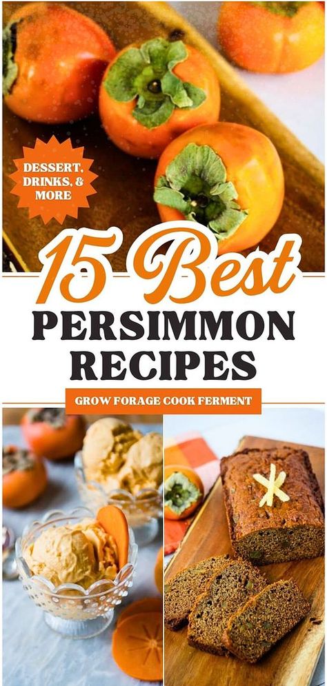 Dive into the world of 15 Best Persimmon Recipes. Explore the delight of persimmon jam, the richness of hachiya and fuyu persimmons, and the sumptuous persimmon bread. Every bite of these Persimmon Recipes promises an unforgettable taste sensation. Find more persimmon recipe ideas, seasonal fall recipes, and ways to use persimmons at growforagecookferment.com! Winter Season Food, Persimmon Cake Recipe, Persimmon Muffins, Persimmon Jam, Persimmon Cookies, Seasonal Recipes Fall, Healthy Homemade Granola Recipe, Persimmon Bread, Persimmon Pudding