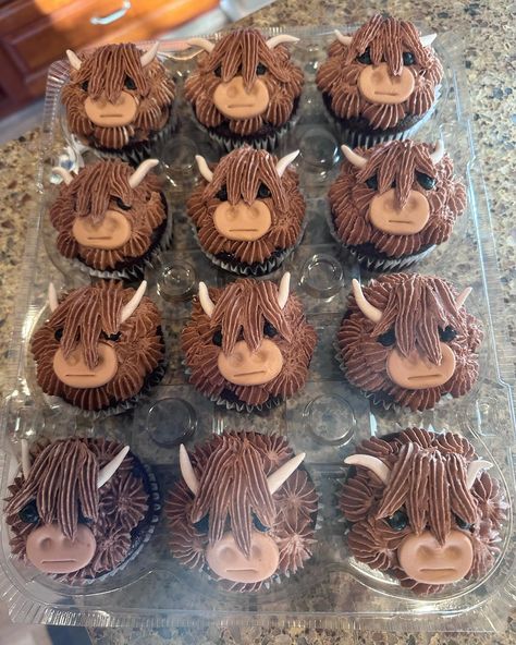 GF Chocolate Highland Cows with Chocolate Buttercream Frosting & @satin.ice Fondant Horns ☺️ #highlandcow #cupcakes #cupcakeart #cupcakedecorating #cupcakesofinstagram #glutenfree #glutenfreebaking Highland Cow Cake, Cow Cupcakes, Cow Cake, Satin Ice Fondant, Cow Cakes, Chocolate Buttercream Frosting, Cupcake Art, Highland Cows, Creative Birthday Cakes