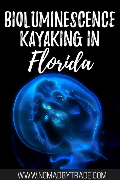 Did you know that you can see bioluminescence in Florida? Taking a nighttime bioluminescence kayaking tour is one of the best things to do in Cape Canaveral. If you're looking for awesome things to do in Florida or searching for day trips from Orlando, you won't want to miss these glowing jellyfish. Click through to find out more! Cape Canaveral Florida Things To Do, Bioluminescence Kayaking, Glowing Jellyfish, Cape Canaveral Florida, Things To Do In Florida, Travel Florida, Usa Destinations, Single Travel, Usa Florida