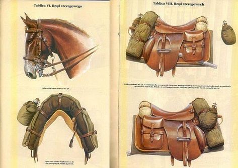 Saddle Bags Horse, Horse Inspiration, Horse Gear, Most Beautiful Animals, Military Photos, Western Saddle, Military Gear, Horse Saddles, Military Equipment