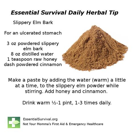 Use slippery elm bark for an ulcerated stomach. Herbs For Stomach Ulcers, How To Use Slippery Elm Powder, Herbal Tea For Mucus, Slippery Elm Benefits, Herbs To Heal Stomach Ulcers, Slippery Elm Powder, Herbs For Healing Wounds, Stomach Remedies, Slippery Elm Bark