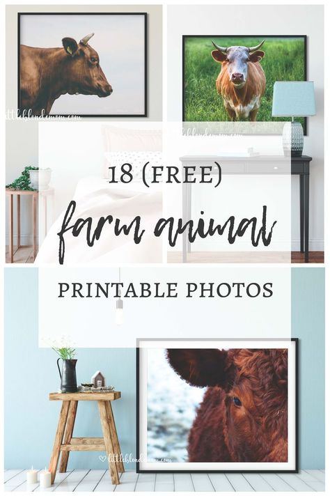 18 FREE Farm Animal Printable Photos! Great for large wall decor on a budget. Cow Decor | Horse Decor | Pig Decor | Farmhouse Decor #freeprintables #printabledecor Wall Decor On A Budget, Farm Animal Decor, Diy Pedestal, Blonde Mom, Farmhouse Printables, Farm Animals Decor, Animal Printables, Farmhouse Decor Kitchen, Pig Decor