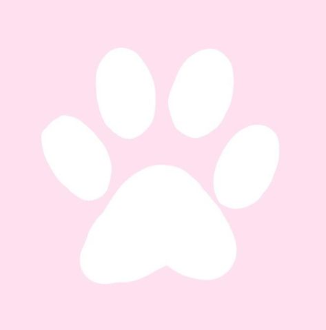 Paw Print Wallpaper, Pink Paw Print, Pink Paws, Board Covers, Print Wallpaper, Paw Print, Divider, Pet, Pink