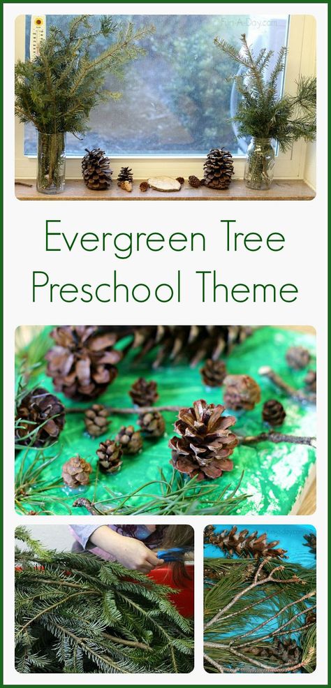 Preschool winter activities that are perfect for an evergreen tree theme! Winter Tree Activities For Preschool, Leaves And Trees Preschool Theme, Trees Preschool Theme, Preschool Winter Activities, Tree Preschool, Winter Tree Crafts, Tree Unit, Tree Activities, Winter Study