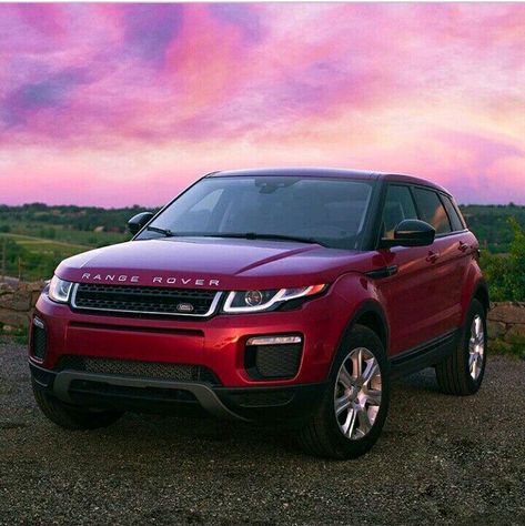 Range Rover lovers red colour Red Suv Car, Red Jeep Aesthetic, Range Rover Evoque Red, Red Range Rover, Range Rover Jeep, Best Dog Halloween Costumes, Range Rover Svr, Range Rover Discovery, Dog Spa