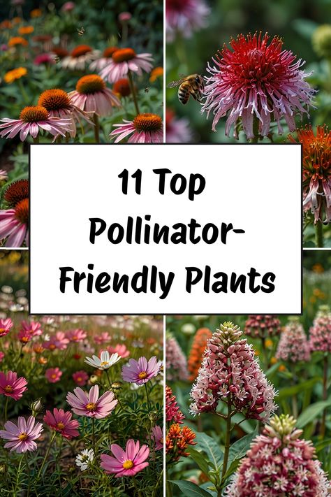 Discover the top plants for pollinators with our selection of pollinator-friendly flowers. Attract bees, butterflies & hummingbirds to your garden with the best flowers for pollinators. Create a vibrant pollinator garden design by incorporating perennials and annuals that are perfect for attracting pollinators. Explore our range of beautiful and colorful flowers to attract beneficial insects and birds while adding beauty to your outdoor space. Pollinator Yard, Flowers For Pollinators, Pollinator Garden Design, Salvia Plants, Easy Indoor Plants, Flower Garden Plans, Flowering Bushes, Bees And Butterflies, Fence Garden