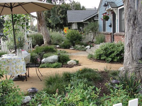 Backyard California, California Native Landscape, California Landscaping, Low Maintenance Landscaping Front Yard, Native Plant Landscape, California Native Garden, Lawn Alternatives, Drought Tolerant Garden, Drought Tolerant Landscape