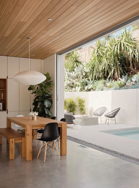 "Fabio is a triathlete and wanted a lap pool, and it also serves as a sort of plunge pool for the family," Sweet says. "It has a mechanical system that essentially turns the pool into a treadmill for his training." Western red cedar was used throughout the interior ceilings, and polished concrete flooring continues outside as pavers. #dwell #moderncalifornianhomes #moderndiningrooms Concrete Patios, Masonry Wall, Concrete Floor, The Courtyard, Courtyard House, Manhattan Beach, Polished Concrete, Wood Ceilings, A Park