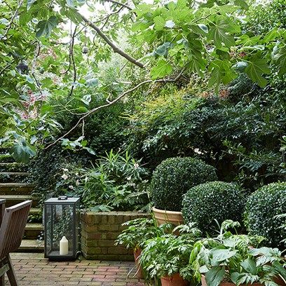 Gardens Design Ideas, Traditional Garden Design, Shady Gardens, Shade Garden Plants, Gardens Design, Traditional Garden, Small Garden Design, Decoration Inspiration, Courtyard Garden