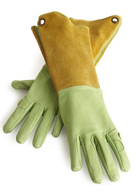 Womens Hands, Leather Gardening Gloves, Pruning Fruit Trees, Garden Gloves, Rose Bushes, Gardening Trends, Garden Tool Set, Garden Equipment, Gardening Gloves