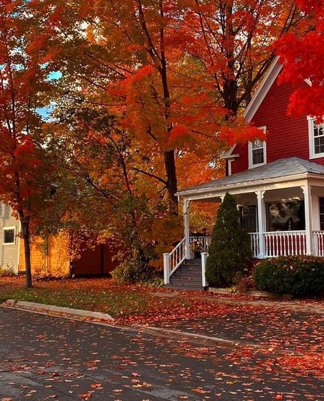 Fall Halloween Aesthetic Photos, Evermore Fall Aesthetic, Autumn House Aesthetic, Fall Aesthetic Vibes, Fall Photos Aesthetic, Red Fall Aesthetic, Autumn Season Aesthetic, Fall Season Aesthetic, Fall Aesthetic Photos