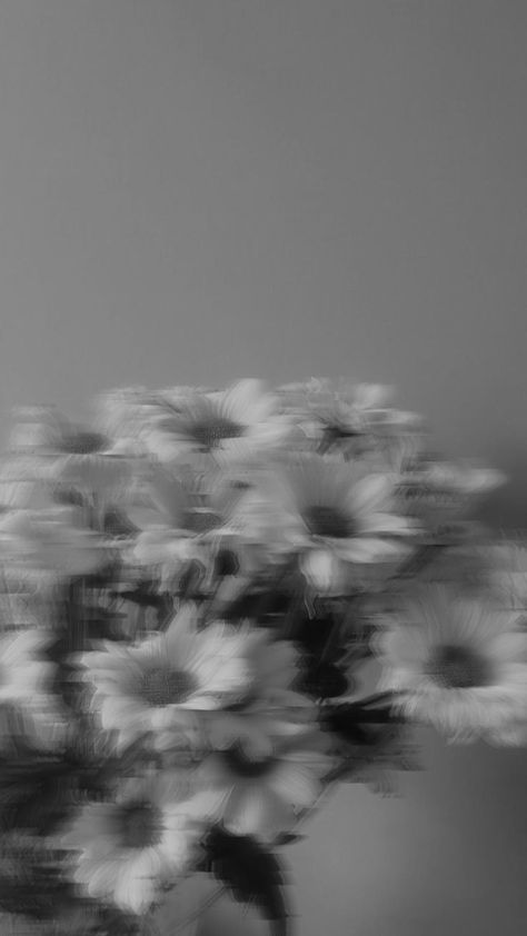 Aesthetic Pictures For Instagram Story Background, Colour Widgets, Books And Pens Photography, Black And White Instagram, Android Wallpaper Art, Blur Photo Background, Vintage Flowers Wallpaper, Flowers Instagram, Blur Photo