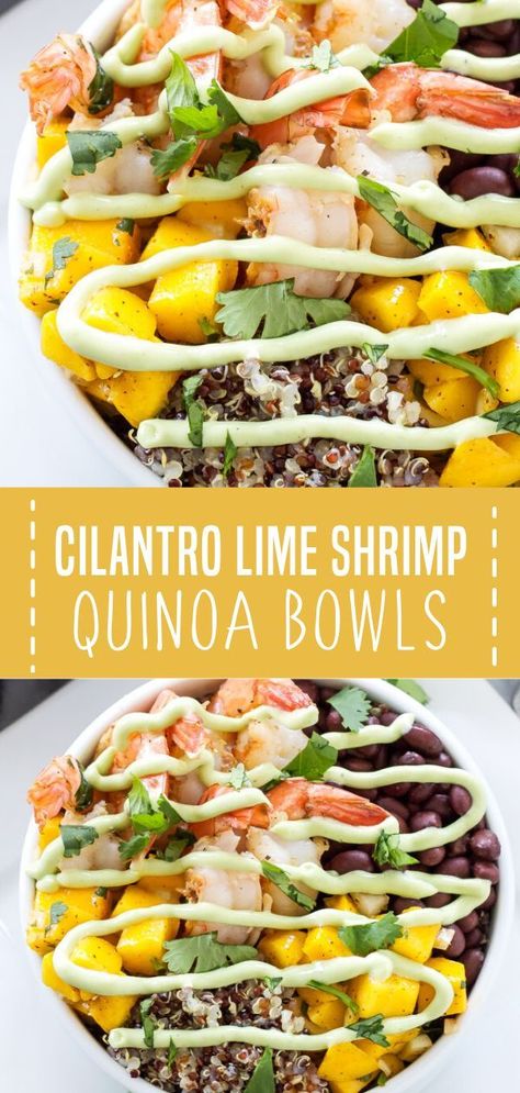 A gluten-free quinoa bowl full of Southwest and tropical flavors! Cilantro Lime Shrimp Quinoa Bowls is a light and healthy recipe you can whip up for lunch or dinner. This bowl of goodness is filled with carbs, protein, and veggies. Save this quick and easy healthy meal! Shrimp Quinoa Bowl, Shrimp Quinoa, Lime Shrimp Recipes, Shrimp And Quinoa, Quinoa Recipes Healthy, Cilantro Lime Shrimp, Quinoa Bowls, Healthy Bowls Recipes, Protein Packed Meals