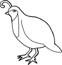 partridge bird silhouette - Google Search Quail Drawing, Silhouette Background, Tile Making, 2023 Food, Bird Coloring, Vbs 2023, Animal Templates, Art Media, Alphabet Charts