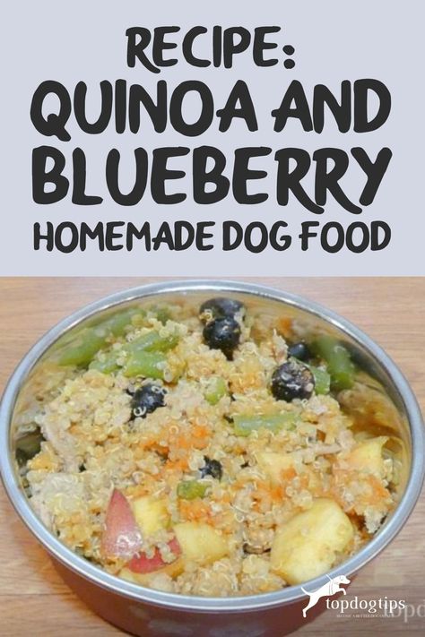 Recipe: Quinoa and Blueberry Homemade Dog Food – Top Dog Tips Homemade Dog Food With Fruit, Homemade Dog Food With Quinoa, Homemade Dog Food For Dogs With No Teeth, Homemade Dog Breakfast, Quinoa Dog Food Recipes, Homemade Dog Food With Fish, Dog Food Breakfast Recipes, Fish Dog Food Recipes, Breakfast For Dogs Homemade