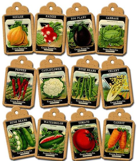 5 Best Images of Vintage Vegetable Seed Packet Printable - Vintage ... Vegetable Seeds Packets, Themed Ornaments, Vintage Seed Packets, Hydroponic Farming, Bush Beans, Printable Collage Sheet, Seed Packaging, Victory Garden, Seed Pack