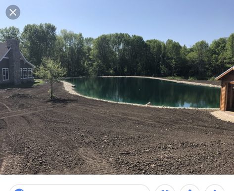 Garlic Mustard, Farm Pond, Natural Swimming Ponds, Pond Maintenance, Backyard Pond, Diy Pond, Pond Liner, Swimming Pond, Pond Landscaping