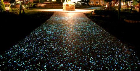 Glow Stones, Diy Glow, Garden Walkway, Pebble Stone, Polished Concrete, Aquariums, Garden Paths, Walkway, Driveway