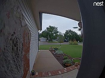 Doorbell Camera Captures Snake Slithering On The Front Door Snake Slithering, Door Camera, Funny Photoshop Pictures, Dead Ringers, Funny Photoshop, Doorbell Camera, Old Memes, Raccoon Funny, Daily Funny