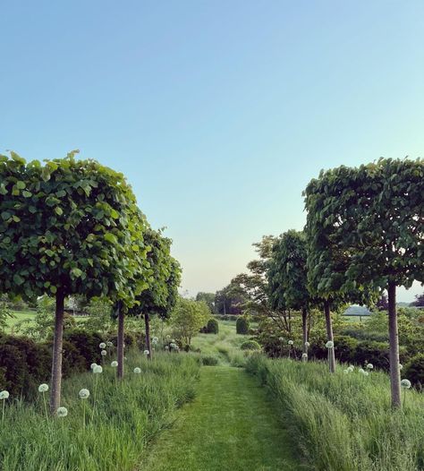 Miranda Brooks, Naturalistic Garden, Orchard Garden, Farmhouse Garden, Formal Gardens, Natural Garden, Country Gardening, Dream Garden, Nature Pictures