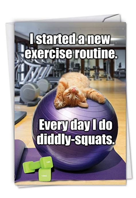 Squat Humor, Happy Birthday Cat, Birthday Greetings Funny, Kitten Birthday, Cat Birthday Card, Squat Workout, Fitness Exercises, Retirement Humor, Funny Happy Birthday