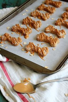 Fabulous homemade Dog Biscuits. Made with Oat Flour, peanut butter and apple. They look good enough for me to eat!! Apple Peanut Butter, Dog Biscuits Homemade, Food Allergens, Healthy Dog Treat Recipes, Dog Cookies, Homemade Apple, Dog Biscuits, Dog Treat Recipes, Dog Recipes