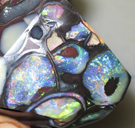 Koroit Nut Opal, opal picts, best opal pictures, amazing opal photos, colorful opals pics Lightning Ridge Black Opal, Red Opal, Rainbow Opal, Yowah Opal, Spiritual Crystals, Raw Opal, Rough Opal, Rocks And Gems, Energy Crystals