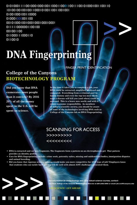 DNA Fingerprinting Dna Fingerprinting Notes, Dna Fingerprinting Images, Forensic Science Posters, Dna Fingerprinting Project, Fifth Grade Science Projects, Body Knowledge, Biotechnology Art, Writing Aesthetics, Text Features Worksheet