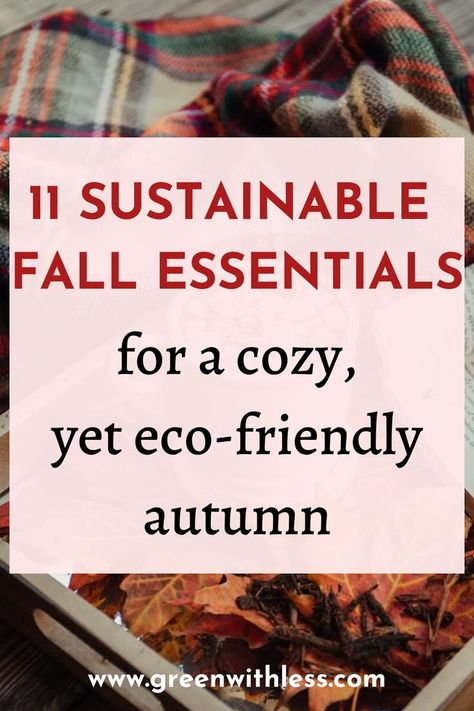 Eco Friendly Fall Decor, Sustainable Fall Decor, Apartment Fever, New Bedroom Ideas, Sustainable Living Aesthetic, Fall Family Activities, Minimalist Lifestyle Inspiration, Western Rooms, Bathroom Apartment