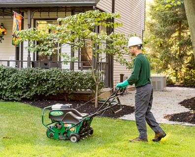 Overseeding Lawn, Aerate Lawn, Grass Type, Lawn Care Tips, Home Landscape, Spring Tree, Good Environment, Tree Trimming, Tree Care