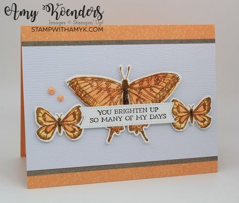 Stampin Up 3x3 Thank You Cards, Su Sketched Butterflies, Sketched Butterfly, Sketched Butterflies, Butterfly Sketch, Butterfly Stamp, Stampin Up Card Ideas, Hand Stamped Cards, Dragon Flies