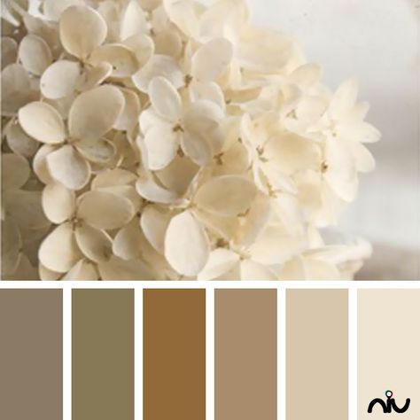 Sand Palette, Coloring Scheme, Interior Paint Schemes, Tan Color Palette, Ivory Palette, Ivory Color Palette, Color Boards, Photography Color, Creme Color