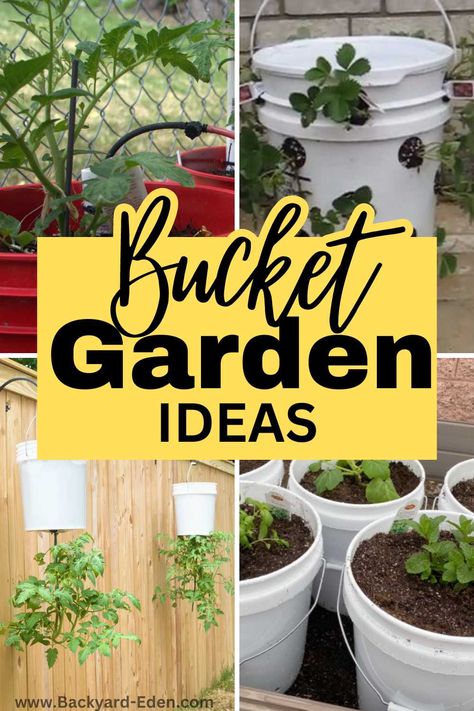 5 Gallon Bucket Garden Ideas: Unique Ways To Grow Vegetables In 5 Gallon Buckets - Backyard Eden Planting In Buckets, Gardening In Buckets, Growing Vegetables In 5 Gallon Buckets, Decorate 5 Gallon Bucket Ideas, 5 Gallon Bucket Raised Garden, 5 Gallon Bucket Planter Ideas, Bucket Gardening 5 Gallon, Gallon Bucket Garden, Bucket Garden Ideas