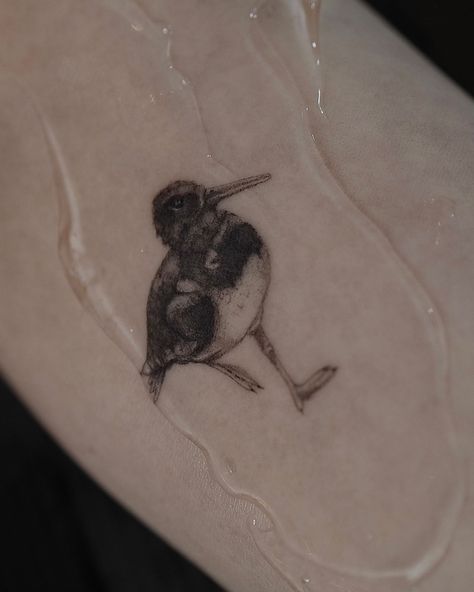 oystercatcher | more realism please :) - done at @maond.atelier #singleneedle #singleneedletattoo #fineline #finelinetattoo #tattooillustration #oysterchatcher #realism #realistictattoo #brementattoo #tattoobremen #realismtattoo #1rltattoo #1rl #tattoobeginner #tattooartist #tattoolove #tattsofinstagram #birdtattoo #malibluetattoo #tattooing #ganderkesee #bremen #oldenburg #oldenburgtattoo #ganderkeseetattoo #tattooganderkesee #tattoohamburg #tattoooldenburg #tattoohannover Single Needle Tattoo, Blue Tattoo, Tattoo Illustration, Oldenburg, Realism Tattoo, Birds Tattoo, Fine Line Tattoos, Realism, Tattoo Artists