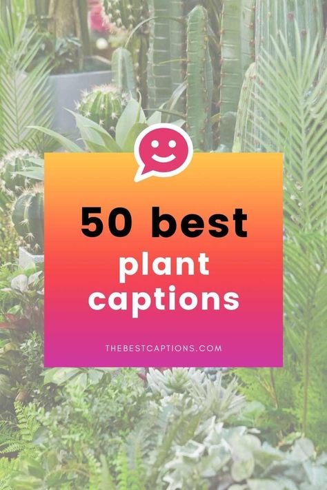 Plants Quotes Life Inspiration, Flower Captions, Flower Captions For Instagram, Plant Quotes, Life Captions, Make Me Happy Quotes, Planner Quotes, Cute Captions, Season Quotes