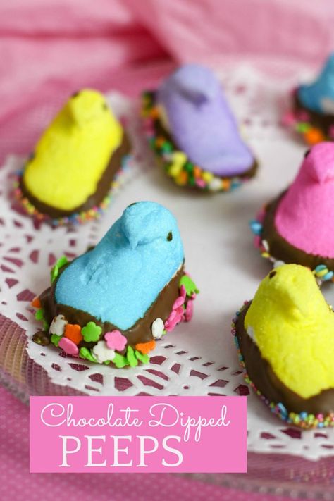 How cute are these chocolate dipped peeps? Peeps Dessert, Treats For Easter, Spring Stem, Spring Creative, Fun Holiday Treats, Candy Easter Basket, Egg Ideas, Marshmallow Peeps, Spring Treats