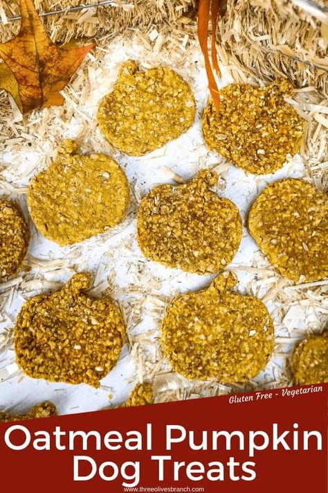 Grain Free Oatmeal, Oatmeal Treats, Gluten Free Dog Treats, Oatmeal Pumpkin, Dog Cake Recipes, Dog Treat Recipe, Pumpkin Oats, Easy Dog Treat Recipes, Diy Dog Food