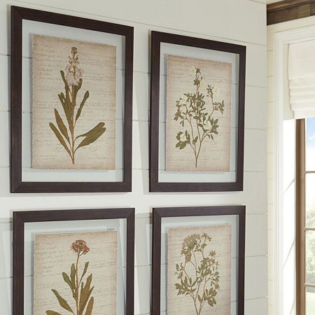 Framed Botanical Prints, Dining Room Wall Art, Botanical Wall Decor, Framed Botanicals, Framed Wall Art Sets, Wall Decor Set, Glass Printing, Dining Room Walls, Dining Room Kitchen