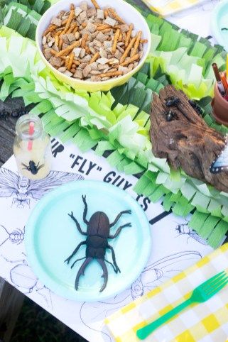 bug birthday party 127 Gluten Free Chex, Bug Toys, Plaid Napkins, Placemat Design, Paper Table Runner, Yellow Foods, Birthday Party Food, Party Needs, 13th Birthday