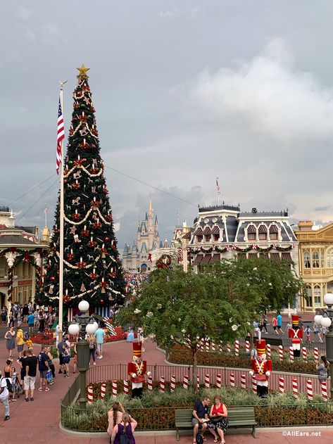 30 Magically Merry Instagram Captions for Your Disney Holiday Posts! - AllEars.Net Disney Christmas Captions, Disney Christmas Quotes, Disneyland Instagram Pictures, Christmas Captions Instagram, Quotes For Instagram Posts, Disney World Quotes, Disneyland Quotes, Disney Picture Ideas Instagram, Disneyland Instagram