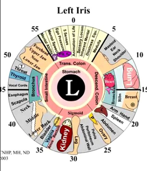 Dr. Robert Morse: Understanding the Critical Role of Acidosis and a Backed Up Lymphatic System in Health Degeneration (May 9, 2015) Dr Robert Morse, Iridology Chart, Dr Morse, Robert Morse, Shiatsu Massage, Alternative Healing, Naturopathy, Body Healing, Alternative Health