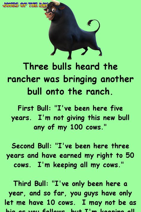 Funny Clean Joke Of The Day - Three bulls heard the rancher was bringing another bull onto the ranch Clean Funny Jokes, Funny Long Jokes, Clean Jokes, Short Jokes, Long Jokes, Joke Of The Day, Funny Jokes For Adults, Clean Humor, Golf Humor